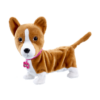 Lizzy Corgi - Animagic