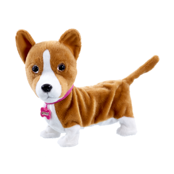 Lizzy Corgi - Animagic